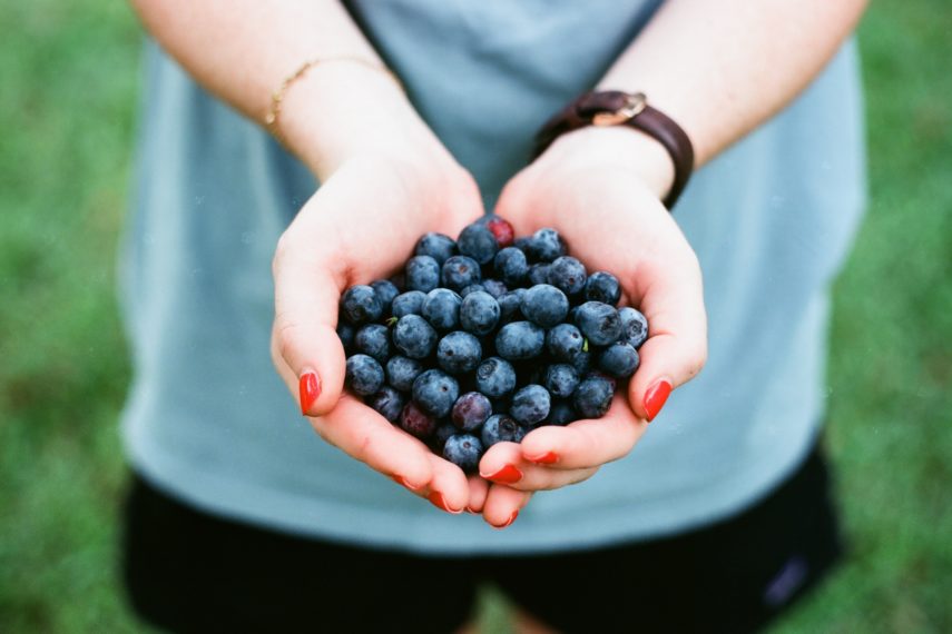 a woman holding blueberries in her hand