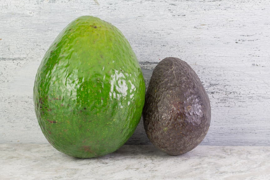 Florida Avocado on the left; Hass avocado on the right. Is Avocado Low FODMAP? YES!
