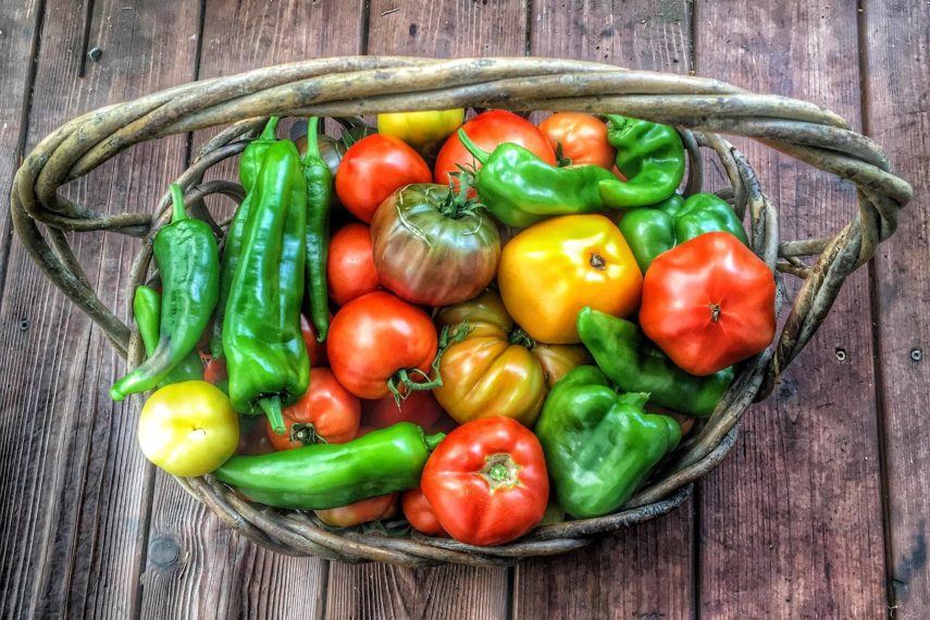 A basket of freshly picked vegetables 