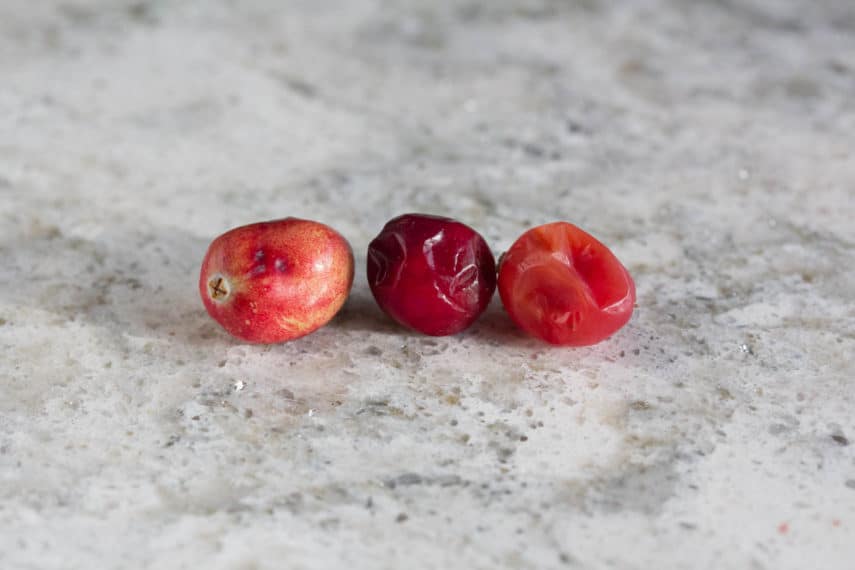 bruised cranberries