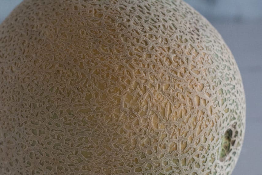 cantaloupe ripening