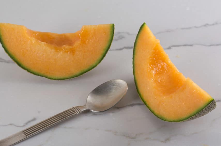 cantaloupe slice