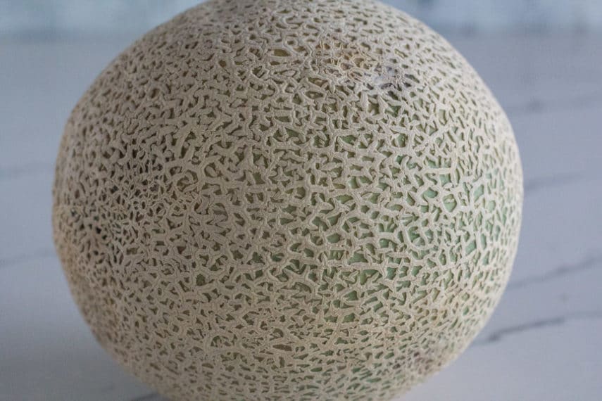 cantaloupe unripe