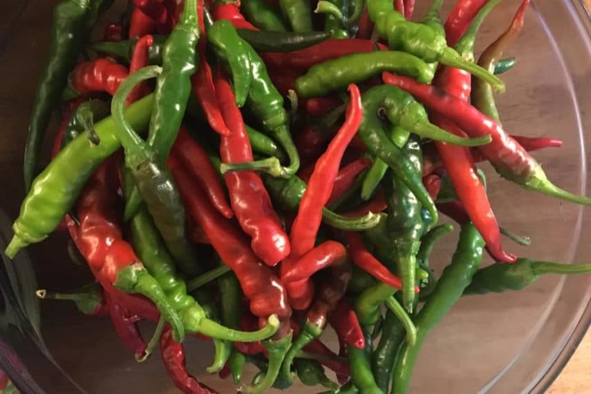 A glass bowl of red and green cayenne peppers shot from overhead.