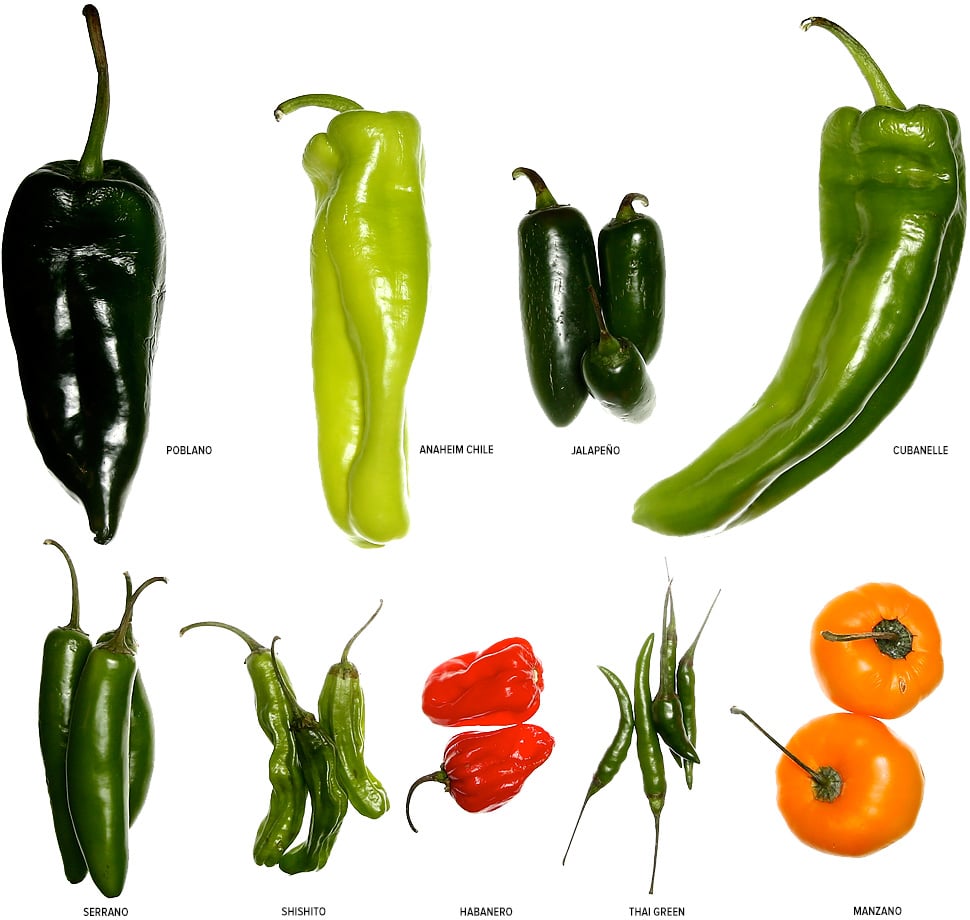 various peppers on white background
