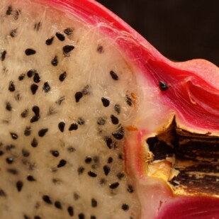 Dragon fruit closeup