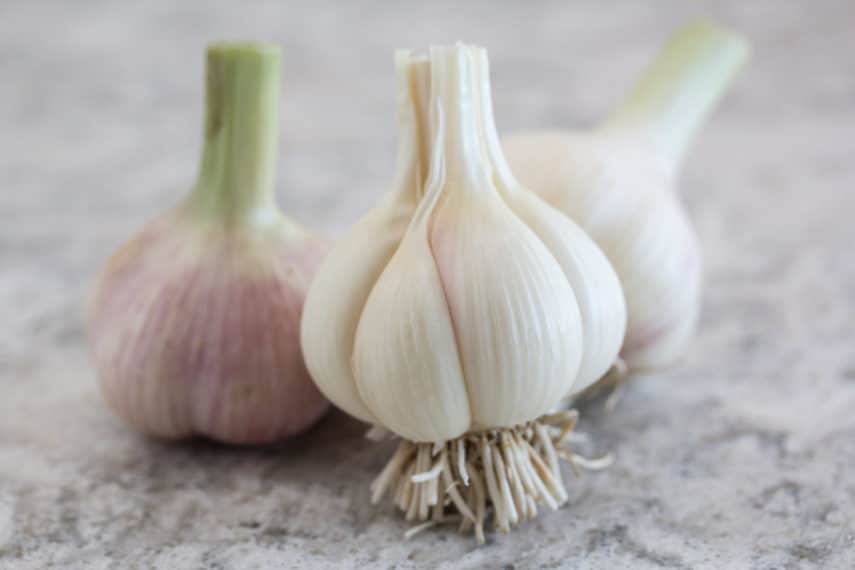 fresh garlic cloves