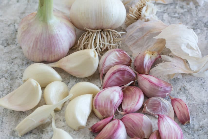 garlic papery skin