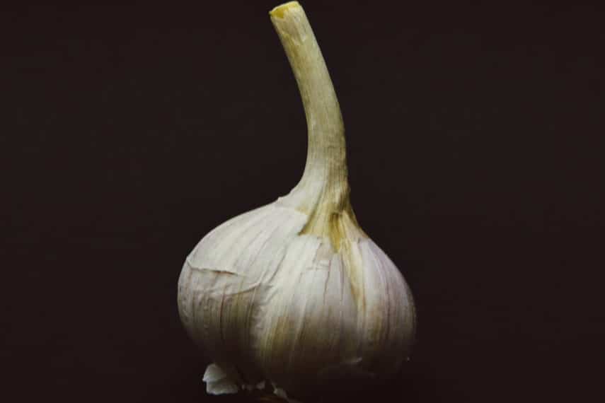 garlic hardneck