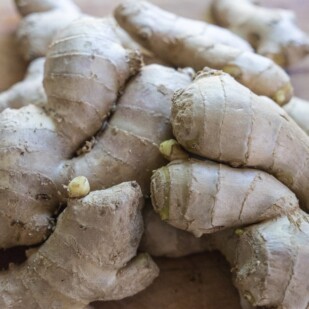 ginger