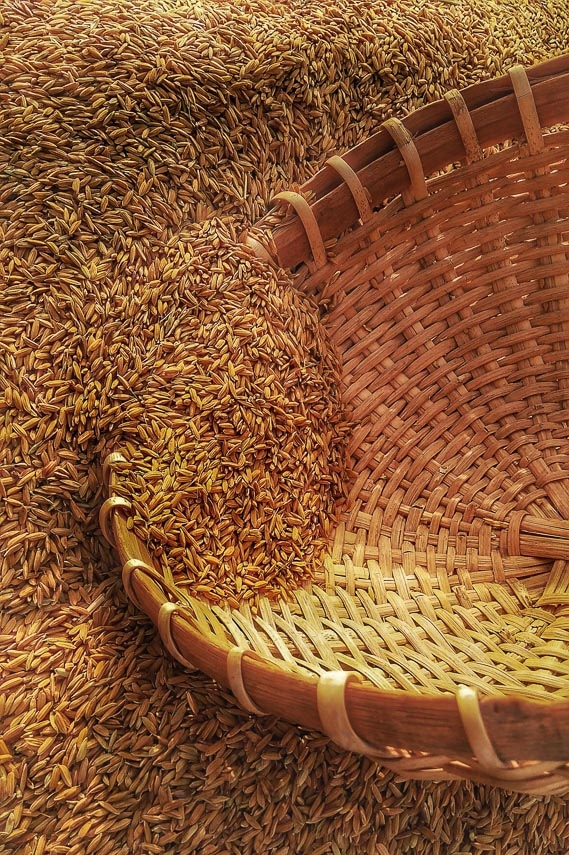 grain spilling into a basket grain spilling into a basket