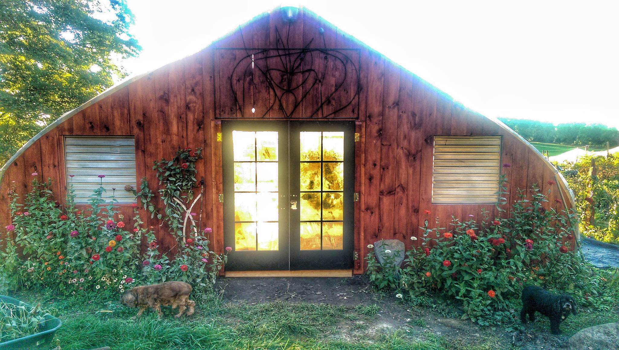 My new greenhouse full of life and light! 