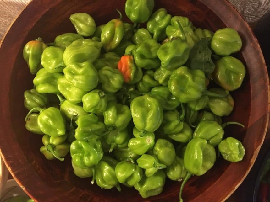 A large wooden bowl of green habaneros shot from above.