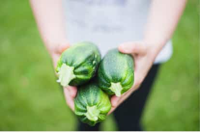 Hands holding zucchini.