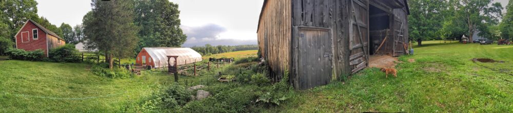 Panoramic view of the farm. 