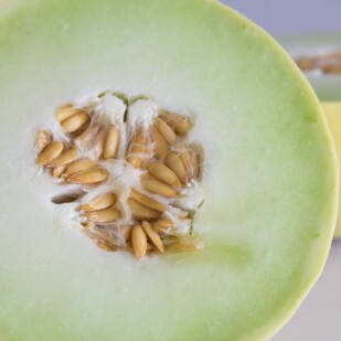 honeydew main