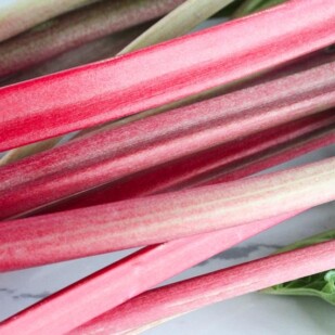 fresh rhubarb stalks on a white quartz surface