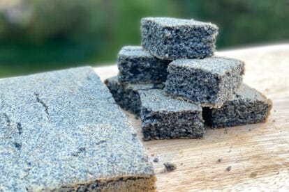 Low FODMAP Blue Cornbread, slab on the left, squares stacked on the right, on a wooden board, outdoors