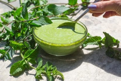Low FODMAP Mint Chutney in clear glass bowl with spoon on stone surface and fresh mint in background
