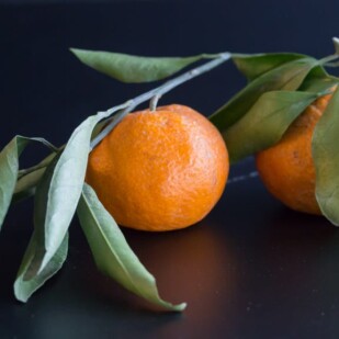 mandarin on stalk