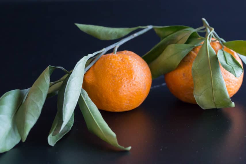 mandarins on stalk