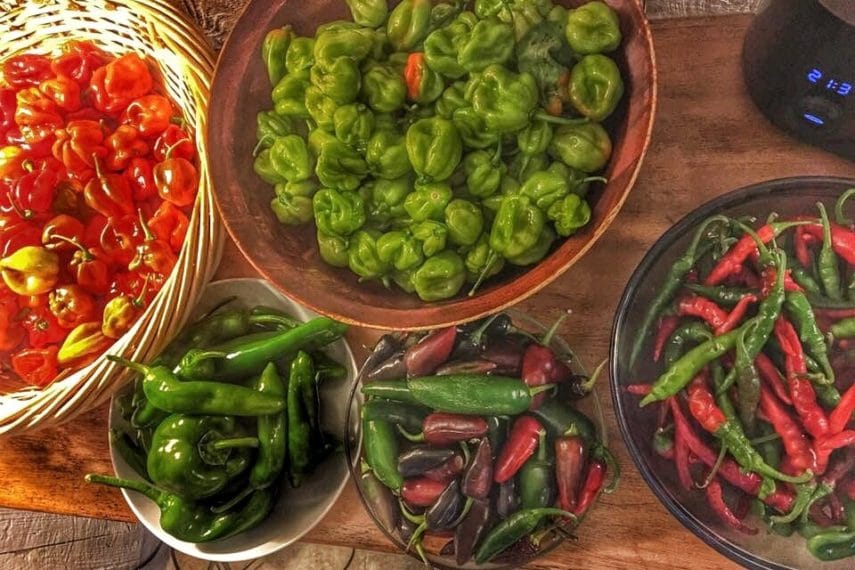 Overhead shot of different fresh hot peppers in bowls.