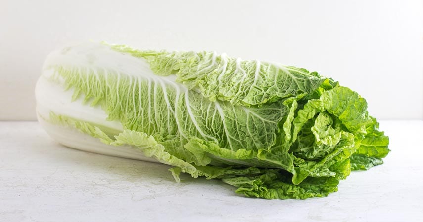 Napa cabbage on white background