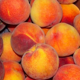 a pile of ripe peaches