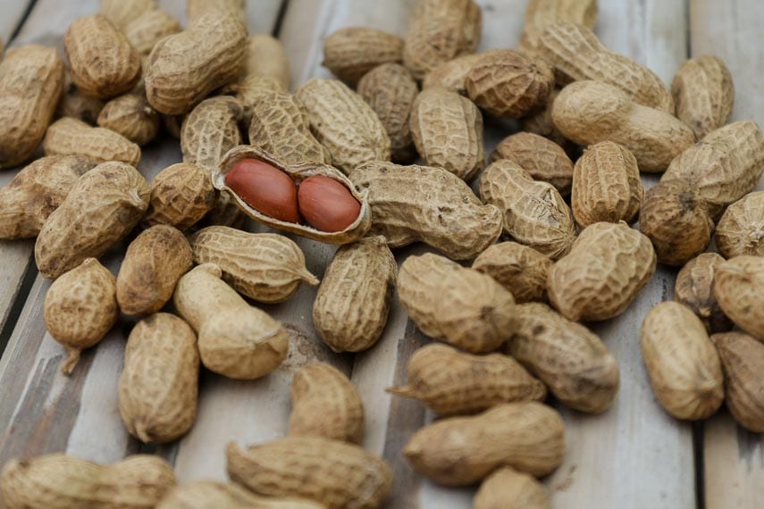 pile of peanuts in the shell