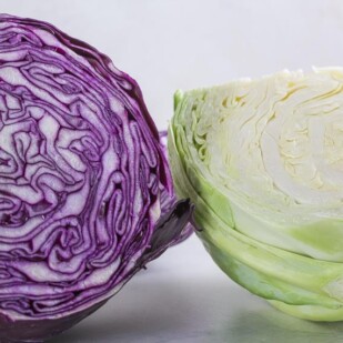 red cabbage and green cabbage, cut open on white backdrop