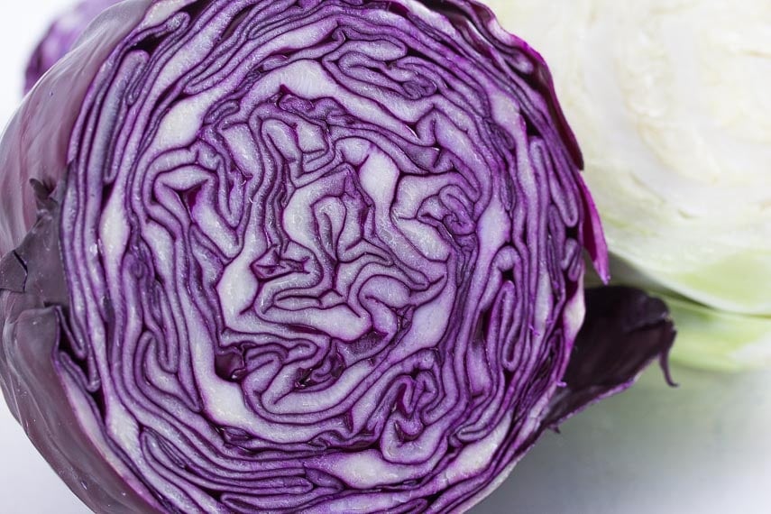 red cabbage closeup on white background