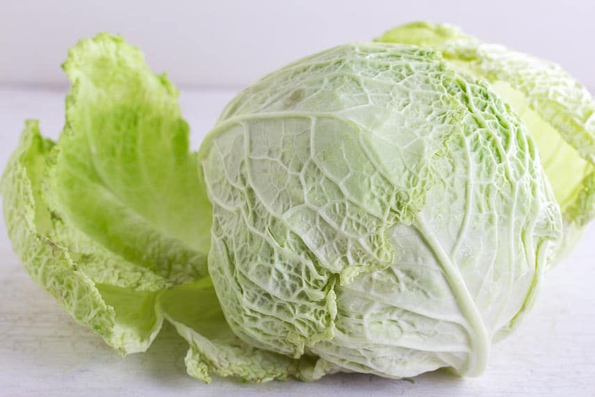 Savoy cabbage head on white background