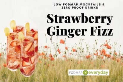 Strawberry Ginger Fizz from Zero Proof