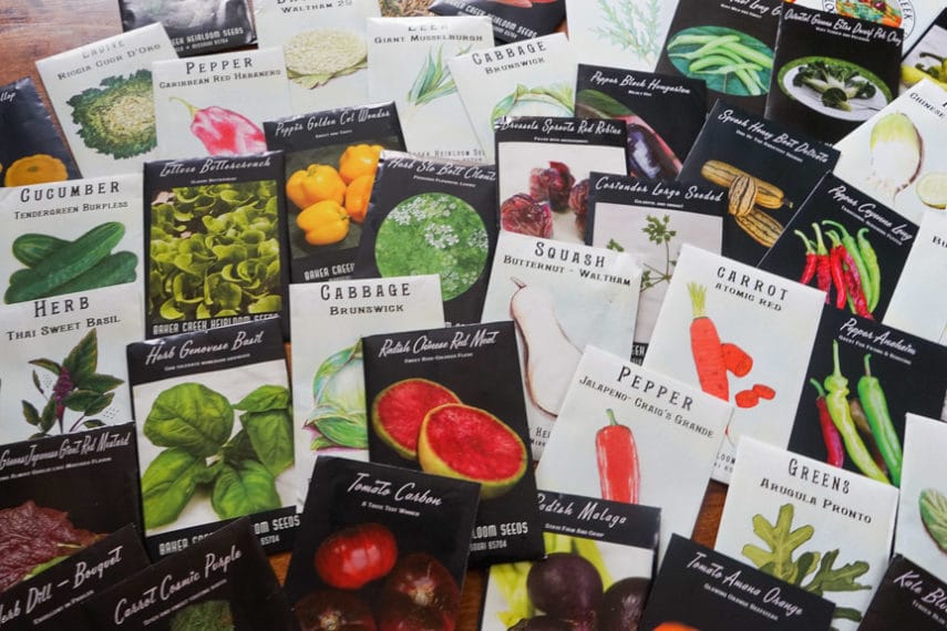 Seeds for the FODMAP Everyday Farm Season 2017