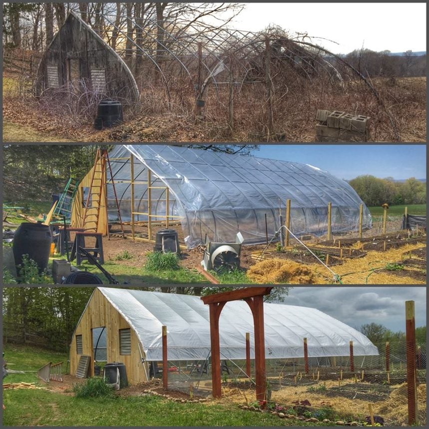 Greenhouse in transition.