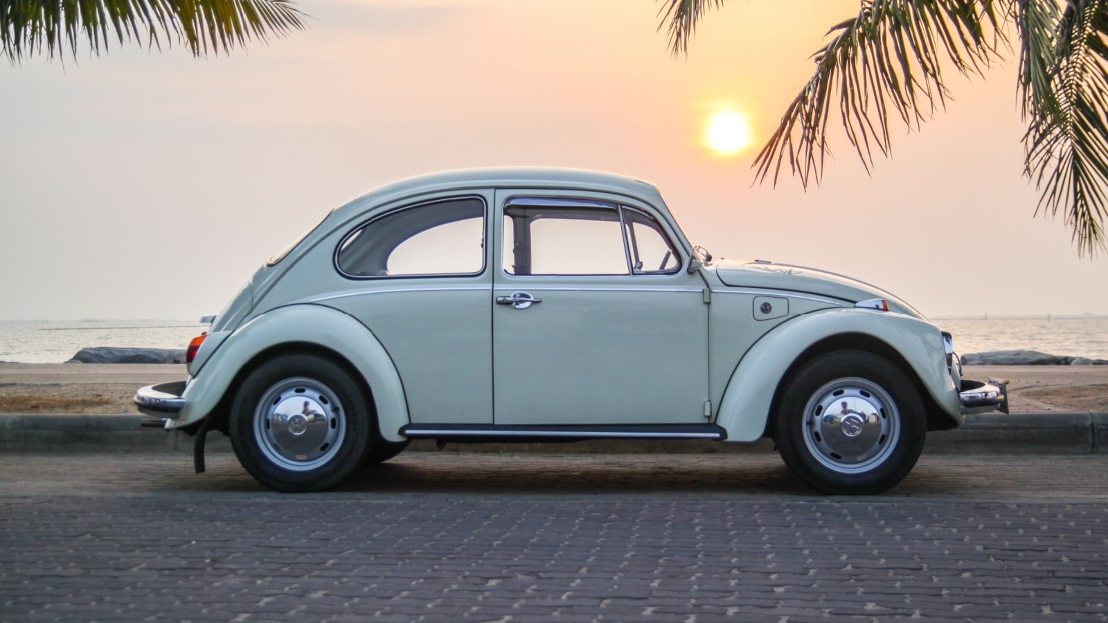 VW bug. 